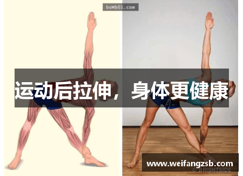 运动后拉伸，身体更健康